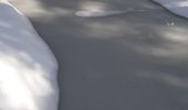 Tocht Sneeuwschoenen Morbier - Les Marais 20210321 - Photo 1