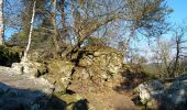 Trail Walking Fontainebleau - viennes carosses - Photo 8