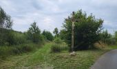 Trail Walking Houffalize - Cetturu 300725 - Photo 10