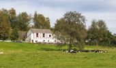 Tocht Stappen Mettet - Marche Adeps à Ermeton-sur-Biert - Photo 4