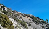 Tocht Stappen La Valette-du-Var - Coudon fort Girardin sud - Photo 5