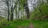 Tour Wandern Bertrix - ruisseau des Muno - Photo 4