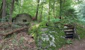 Tour Wandern Günsbach - Gunsbach - Munster - Photo 2