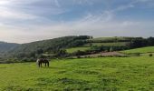 Tocht Stappen Theux - franchimont-maché . chinru - retour - Photo 2