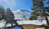 Excursión Senderismo Ascou - Crête de Pailhères & Sarrat des Chèvres- Pic de Tarbesou - Photo 2