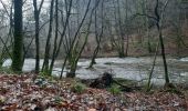 Trail Walking Libin - laisse la lesse  - Photo 6