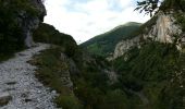 Excursión Carrera Etsaut - ETSAUT Chemin de la mâture col d Arras - Photo 9