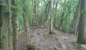 Tour Wandern Esneux - tilf . ferme de femelette.  roche aux faucons.  avister. tilf  - Photo 5