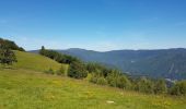 Tocht Stappen Kirchberg - 2020-06-24 DW35 Au-dessus du lac Lachtelweiher - Photo 19