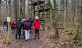 Tocht Stappen Marche-en-Famenne - Champlon  -Famenne - Photo 12