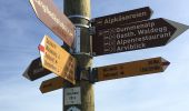 Trail On foot Dallenwil - Wirzweli - Gummenalp - Photo 4