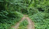 Trail Walking Cheptainville - Forêt Régionale de Cheptainville  - Photo 17