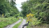Trail Walking Neufchâteau - Tronquoy - Respelt - Photo 3