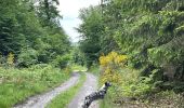 Tour Wandern Neufchâteau - Tronquoy - Respelt - Photo 3