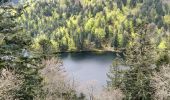 Tour Wandern Mittlach - 2021-05-23 Marche Mittlach Rothenbachkopf - Photo 2