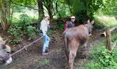 Tocht Stappen Saint-Hubert - mormont - Photo 2