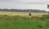 Tour Wandern Pont-l'Abbé - kervazegan - Photo 3