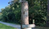 Percorso Marcia Brain-sur-Allonnes - BALADE BRUN SUR ALLONE DANS LA FORÃT  - Photo 6