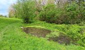 Trail Walking Riemst - autour de Kanne et St Pietersberg  - Photo 19