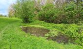 Trail Walking Riemst - autour de Kanne et St Pietersberg  - Photo 19