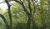 Tour Zu Fuß Oudsbergen - Station As Groene rechthoek - Photo 2