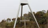 Trail On foot Unknown - Te Araroa - 06 Wellington - a Poads Road, Levin to Otaki Forks - Photo 4