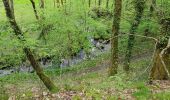 Tocht Stappen Golinhac - golinhac conques  - Photo 8