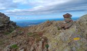 Tour Wandern L'Albère - ullat . piste . puig orella . puig St cristau . puig orella . ullat - Photo 3