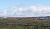 Tour Wandern Weismes - 20210911 - Sourbrodt 6.3 Km - Photo 9