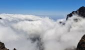 Excursión Senderismo Garafía - La Palma 5 : GR131- Roque de Los Muchachos - Pic de la Nieve - Photo 12
