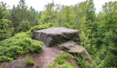 Tour Zu Fuß Willebadessen - Rundwanderweg 