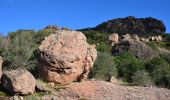 Percorso Marcia Roquebrune-sur-Argens - Roquebrune sur argens - Tour du Rocher - Grotte de l'Ermite - Photo 12