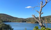 Excursión  Bormes-les-Mimosas - Barrage du trépan la louve - Photo 1