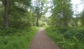 Tocht Noords wandelen Seraing - vecquée sud  - rond jaune  - Photo 7