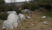 Trail Walking Escragnolles - hameau de Clars avec Toto - Photo 1
