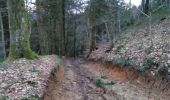 Tocht Mountainbike Virton - Fourneau Marchand II  -  Balade_VTT_23kms - Photo 10