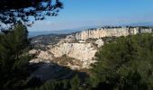 Excursión Senderismo Évenos - Evenos à Grand Moulin - Photo 14