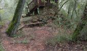 Trail Walking Flayosc - reconnaissance berne circuit jaune  - Photo 6