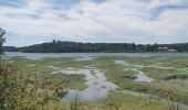 Tour Wandern Le Bono - boucle Bono, Ste Savoye, St Goustan  - Photo 4