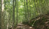 Tocht Stappen Saint-Georges-en-Couzan - Randonnée au dessus de Vaux - Photo 13