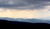 Tocht Stappen Roquefort-la-Bédoule - Grand Caunet, le Montounier - Photo 6