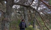 Tocht Stappen Bayons - chemin du lac des Monges au sommet - Photo 20