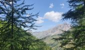 Excursión Senderismo Val-d'Oronaye - pas des manzes 4-07-2022 - Photo 10