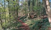 Tour Wandern Comblain-au-Pont - Comblain-au-Pont d´une rive à l´autre - Photo 4