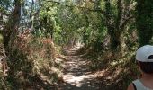 Trail Walking Plougastel-Daoulas - LOPERHET  - Photo 15