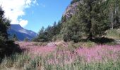 Excursión A pie Cogne - Alta Via n. 2 della Valle d'Aosta - Tappa 10 - Photo 8