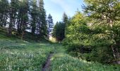 Trail Walking Molines-en-Queyras - Col Longet.Pic Traversier. 21/07/21 - Photo 2
