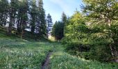 Tocht Stappen Molines-en-Queyras - Col Longet.Pic Traversier. 21/07/21 - Photo 2