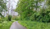 Trail Walking Hamoir - comblain la tour . xhygnesse . comblain fairon . comblain la tour - Photo 11