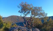 Trail Walking Quinson - verdon basse gorge via ravin ste marguerite et chapelle ste marguerite  - Photo 17